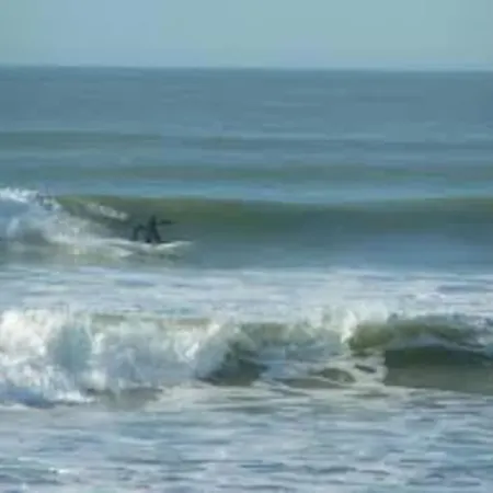 Charmante Maison A 500m De La Remigeasse بيت للعطل Dolus d'Oléron