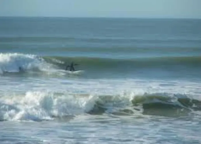 Charmante Maison A 500m De La Remigeasse Сasa de vacaciones Dolus d'Oléron